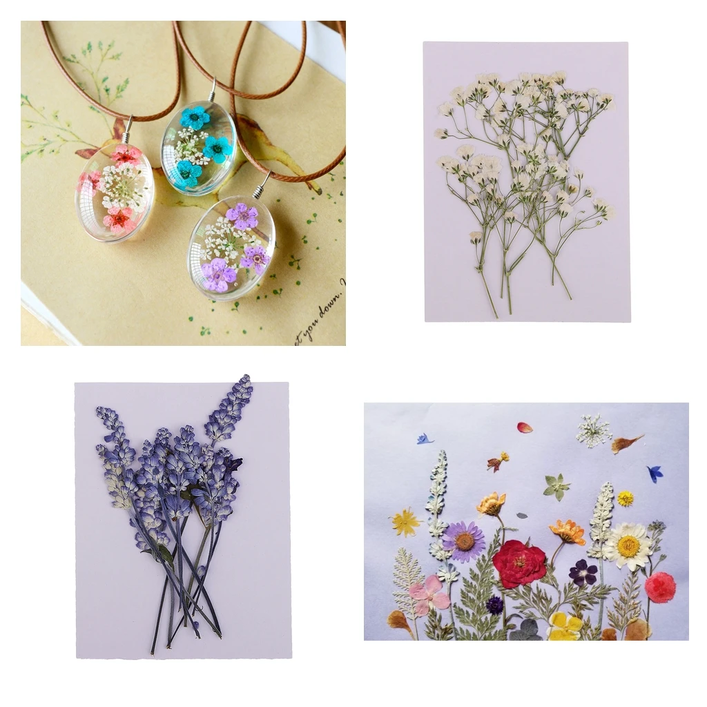 MagiDeal 20x Pressed Dried Flowers Real Babysbreath Sage DIY Scrapbooking Arts Crafts Fake Flowers for gift packaging DIY Craft 