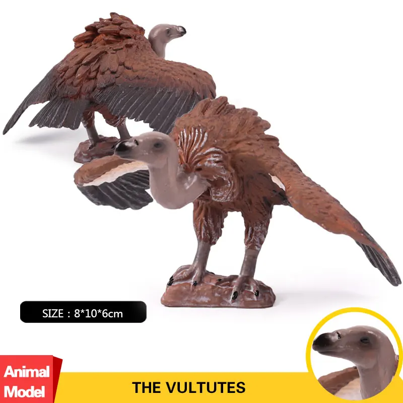 

Oenux Bird Animals Vulture Figurines Eurasian Black Vulture High Quality PVC Action Figures Static Collection Toy For Kids Gift