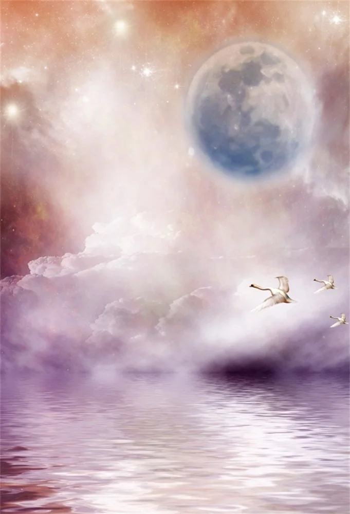 Laeacco Sea Birds Planet Nebula Clouds Fantasy Scene Photography Backgrounds Customized Photographic Backdrops For Photo Studio Laeacco Sea Birds Planet Nebula Clouds Fantasy Scene Photography Backgrounds Customized Photographic Backdrops For Photo Studio