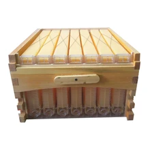Libérez le bateau automatique de flux de miel ruche en nid d’abeille 7 cadres avec super boîte ruche colmena ruche flux pour les abeilles d’automatisation kits