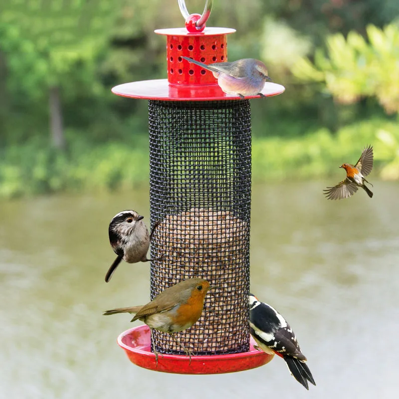 New Design Pet Bird Feeder Parrot Macaws Lovebird Hanging Wild Bird