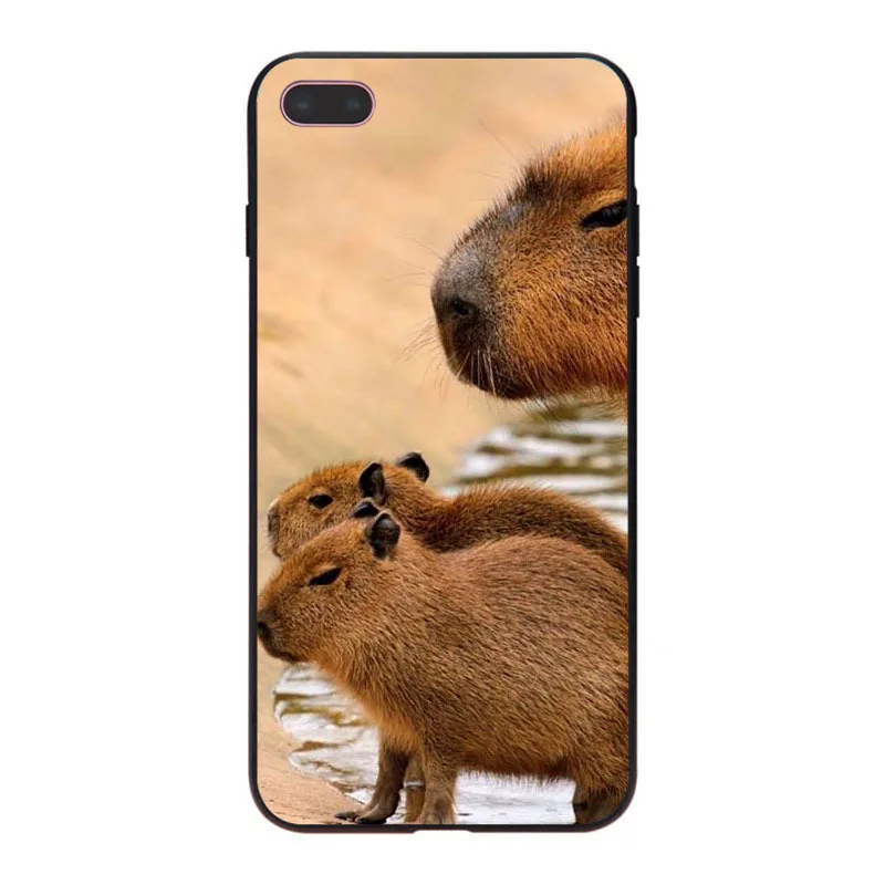 MaiYaCa Animal Funny Capybara Специальное предложение Роскошный чехол для телефона iPhone 8 7 6 6S Plus X XS XR XSMax 5 5S SE Coque Shell