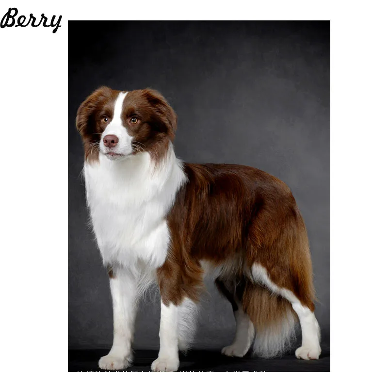 

BERRY,100% Full square Diamond Needlework, Diy Diamond Painting Dog Kit 3D Diamond Cross Stitch Embroidery