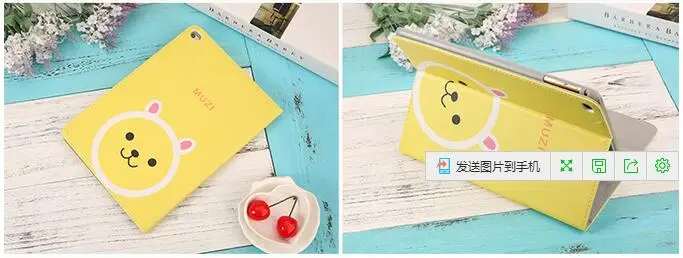 Case for Ipad-12