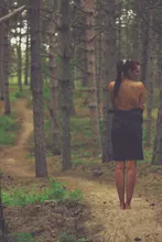 V***n