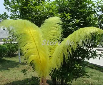 

High Quanlity 100pcs Beautiful Yellow Ostrich Plumes Feathers For DIY Craft Decoration 14-16inches Long