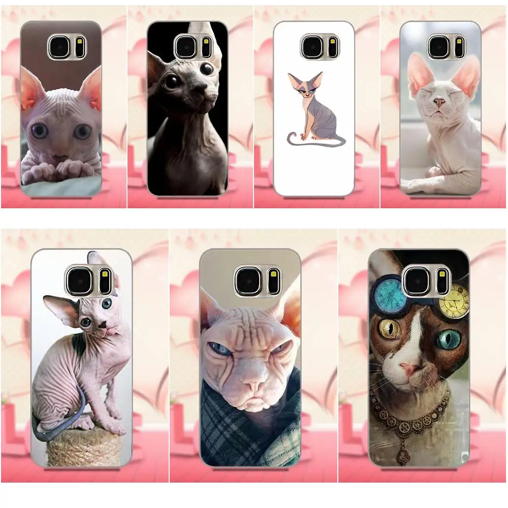 Oedmeb высокое качество Sphynx Cat Kitty для Apple iPhone 4 4S 5 5C 5S SE 6 6S 7 8 Plus X LG G3 G4 G5 G6 K4 K7 K8 K10 V10 V20 |