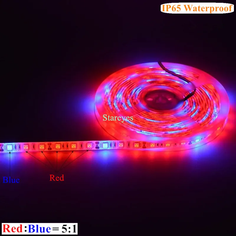 40 шт. SMD 5050 5 м Светодиодная лента, светильник для выращивания, полный спектр, светодиодный фито-лампа для выращивания растений, для теплицы, гидропоники, Выращивание растений на солнечной батарее - Испускаемый цвет: 5 Red 1 Blue IP65