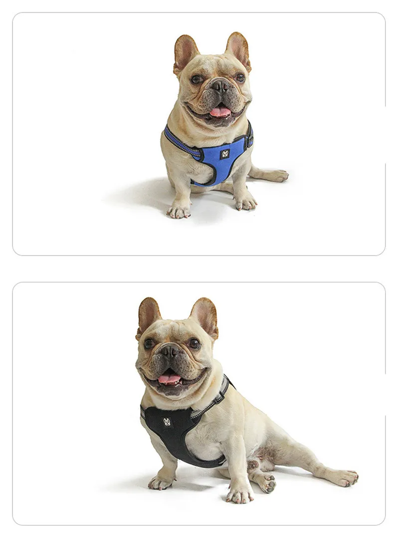 Dog Harness and Leash Set  (1)