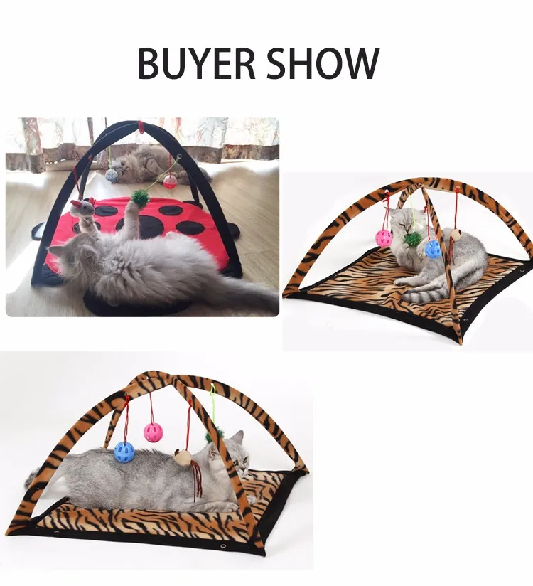 BUY SHOW