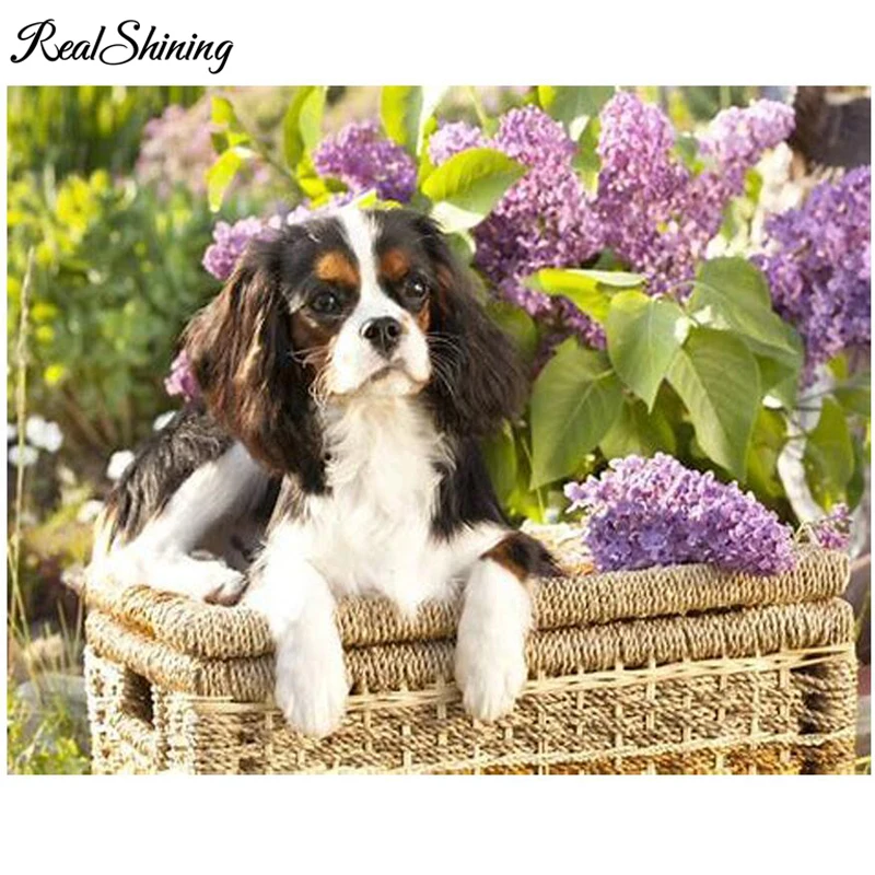 

REALSHINING 5d diamond embroidery dog diamond painting Cavalier King Charles Spaniel full square mosaic rhinestones FS3041