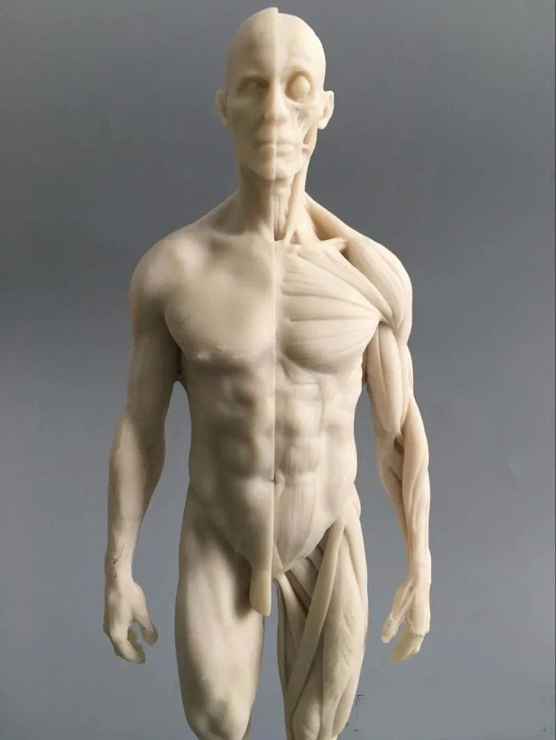 TB2OEC7tXXXXXX2XpXXXXXXXXXX_!!687093950