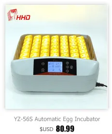Made in China CE Certificate Poultry Hatchery Machines 48 Automatic Egg Turner 220 12V Hatching Incubators for Sale