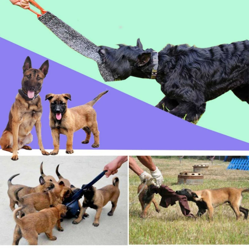 outdoor toys for large dogs