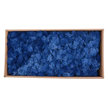 

Newly 500g/Box Moss Plant Flowers Long Lasting Preserved Dried Craft Flower DIY Home Wedding Party Decor VA88