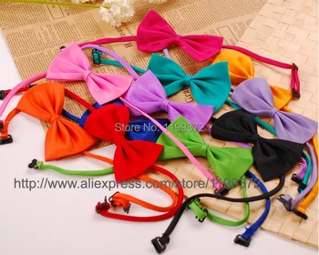 

DHL Free shipping! 5000pcs Dog Neck Tie Dog Bow Tie Cat Tie Pet Grooming Supplies Pet Headdress Flower
