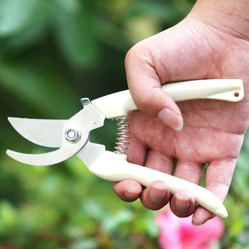 

Gardening scissors scissors shears green garden tools trimming scissors cut flower branches of fruit tree fruit