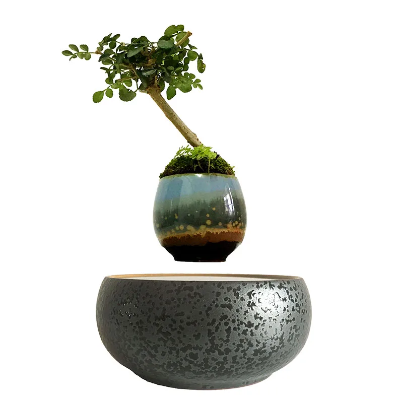 Buy 2018 japan levitation Floating Bonsai