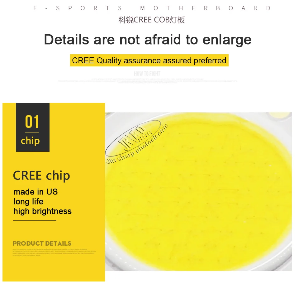 CREE-COB-_05