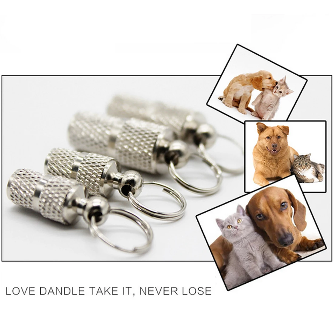 

Hot sale Pet Dog Cat Mini ID TAG Anti lost Name Address Label Identity Barrel Tube Collar