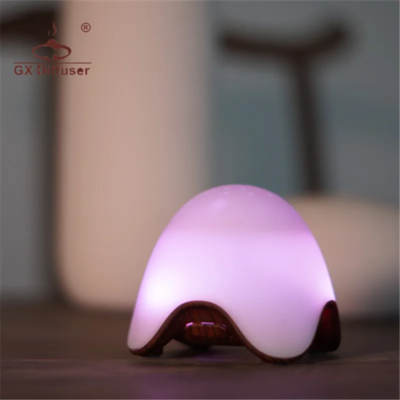 

GX Diffuser Novelty LED Battery Power Night Light Colorful Rechargeable Night Lamp Portable Lamp For Home & Living Room