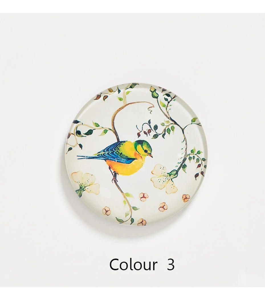 bird magnet refrigerator sticker 09