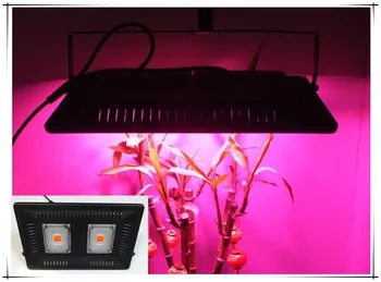 

IP67 Waterproof COB Grow Light Led Full Spectrum 50W/100W Ultra-Thin LED Grow Lamp for Indoor Plant Flowering Outdoor Plants