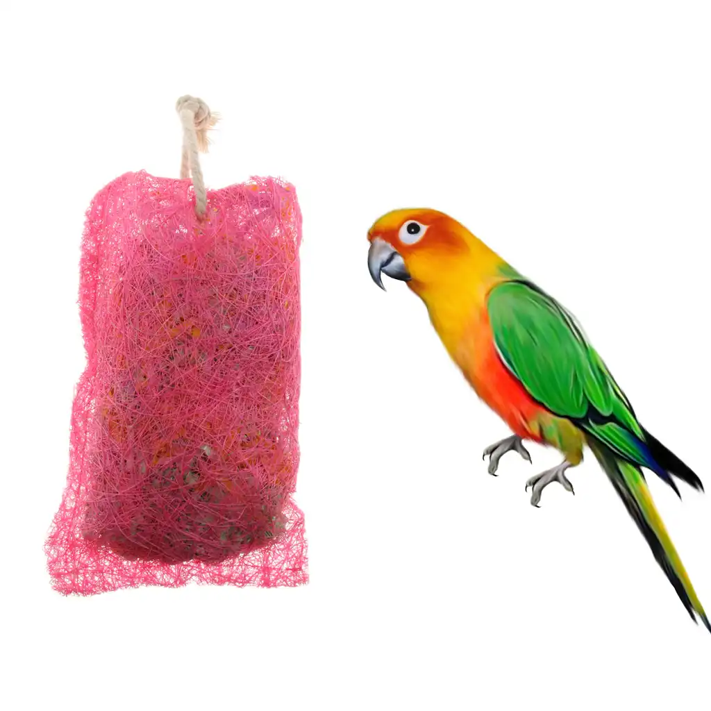 Amagogo Hewan Peliharaan Burung Beo Mengunyah Mainan Burung Beo