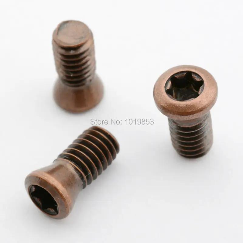 Copper color insert screws (1)