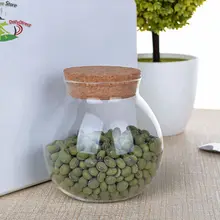 1x450 мл ручной работы термостойкие стеклянные чайные цветы Caddy Канистра с деревянной пробкой