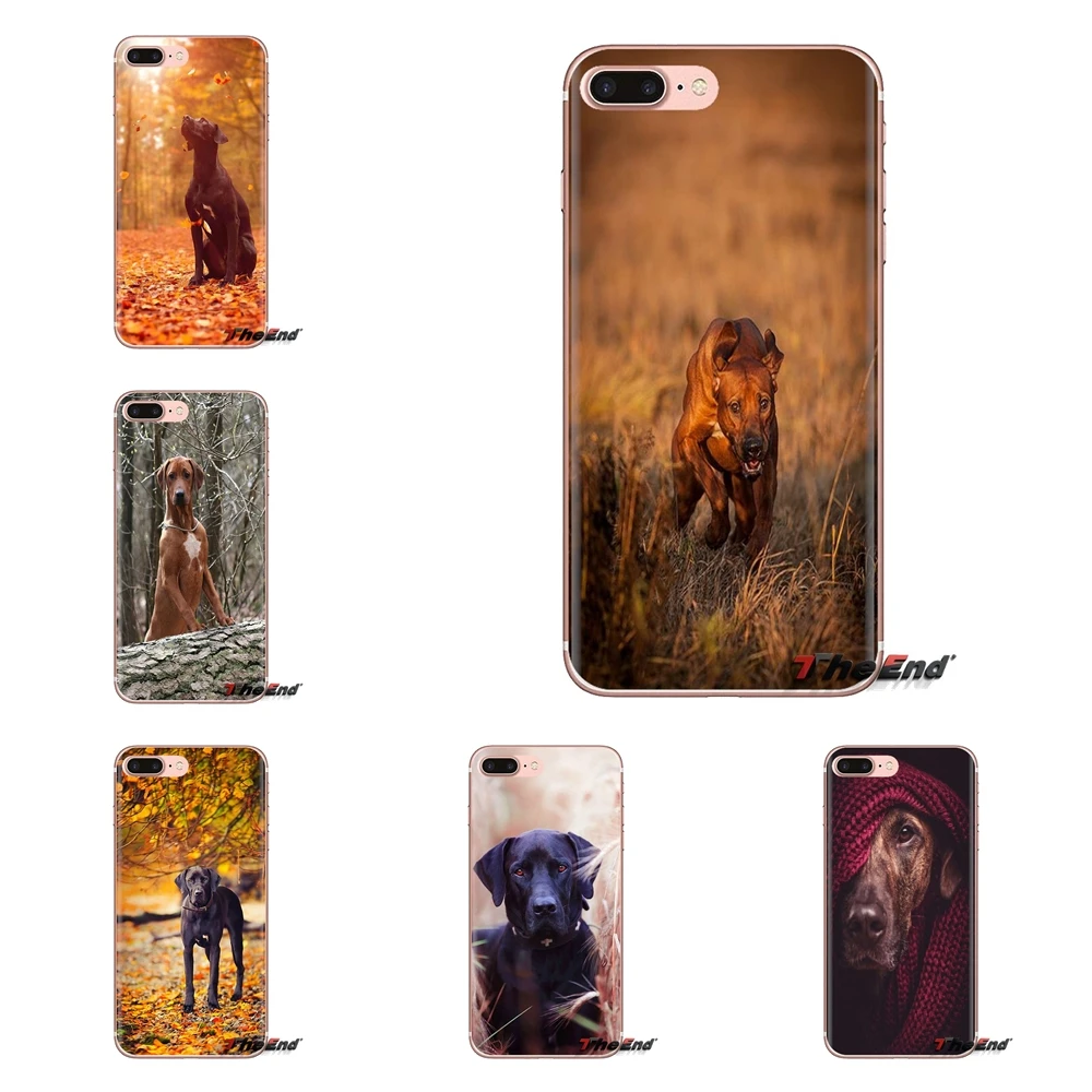 For LG Spirit Motorola Moto X4 E4 E5 G5 G5S G6 Z Z2 Z3 G2 G3 C Play Plus Mini Rhodesian Ridgeback Dog Transparent Soft Skin Case |