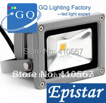 5 шт./лот оптовая продажа светодиодные прожекторы 10 Вт 20 DC 12 В или DC24V IP651000-1100LM