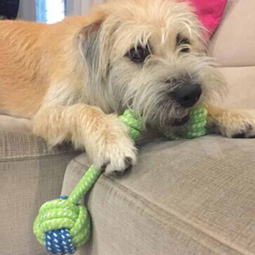 الكلب مضغ القطن لعبة حبل تحلق أقراص للكلاب الأسنان نظيفة الكلب الكرة ألعاب من الحبال Ooutdoor التدريب كبيرة صغيرة الكلب لعبة تفاعلية الكلب مضغ القطن لعبة حبل تحلق أقراص للكلاب الأسنان نظيفة الكلب الكرة ألعاب من الحبال Ooutdoor التدريب كبيرة صغيرة الكلب لعبة تفاعلية