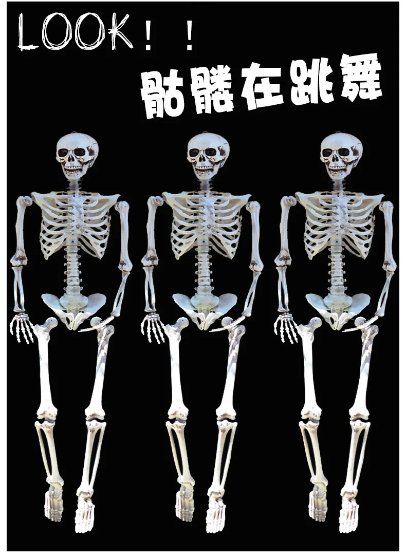 dhltntupsfedexems 165cm 90cm halloween skeleton 100 plastic skeleton for halloween decorations - Halloween Skeletons dhltntupsfedexems 165cm 90cm halloween skeleton 100 plastic skeleton for halloween decorations - Halloween Skeletons