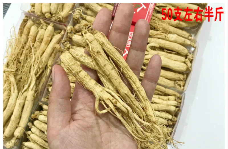 Свежие/сухие таблетки из корня женьшеня, 250-500 г вакуумной упаковки, Panax, корень женьшеня, травяные, для ухода за кожей, для красоты, 75-100 шт