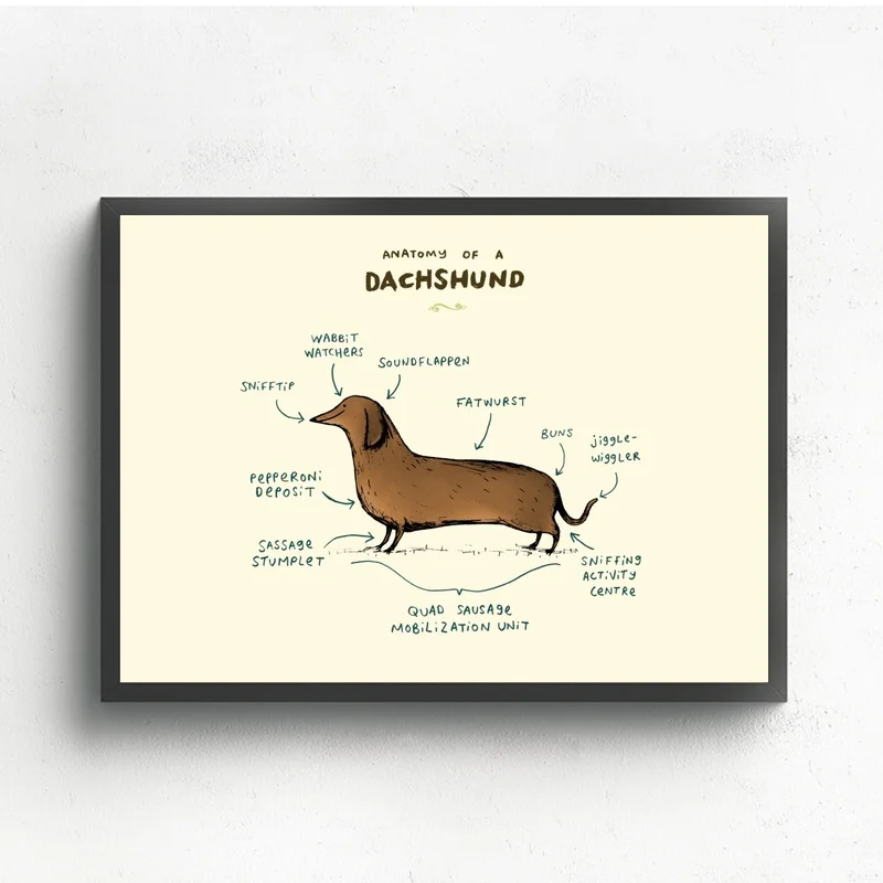 

Anatomy of Dachshund Art Painting Wall Pictures For Living Room Decoration Home Decor
