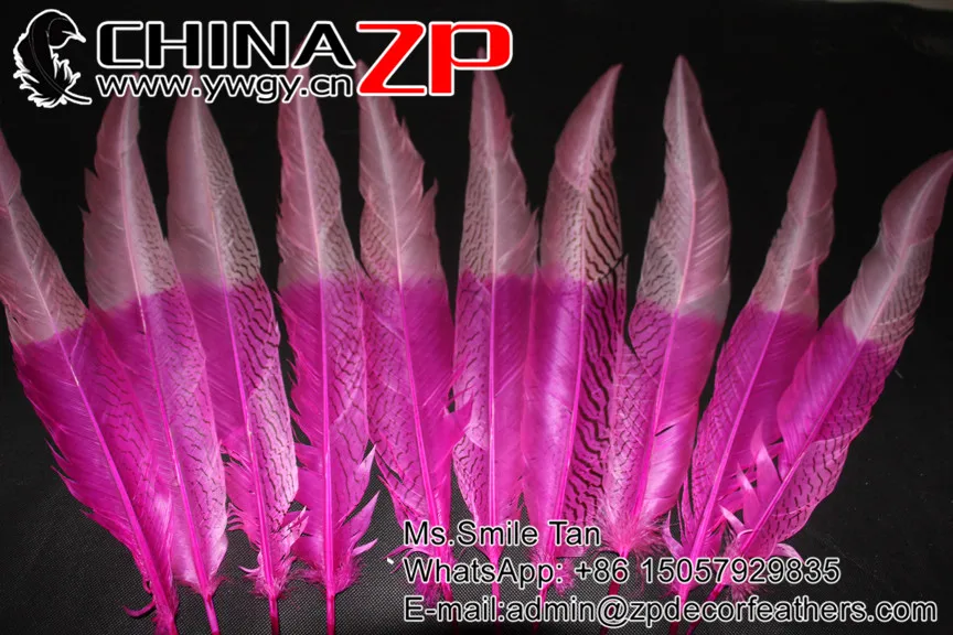 65-70cm silver pheasant feathers Ombre color Pink wholesale Carnvial showing  - (9)