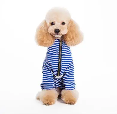 Зимняя одежда для собак, полосатый комбинезон с принтом, свитер для щенка, куртка на молнии, высокая Пижама с воротником для маленьких собак, бархатное пальто - Цвет: Boy-2