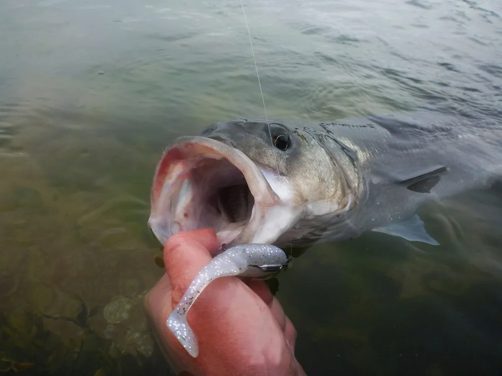 Pesca Рыболовная Приманка Мягкая силиконовая 8 шт. 7,5 см/4,6 г Esfishing Ammonite Shad " кренкбейт Карп Снасти для ловли форели зеленый Спиннер