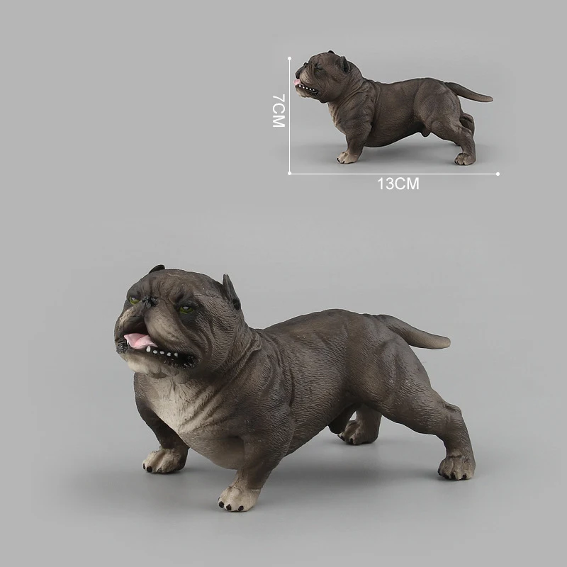 Новая модель пластиковые животные собака Шарпей бульдог фигурка образование биология реквизит украшение взрослые детские игрушки Biologia