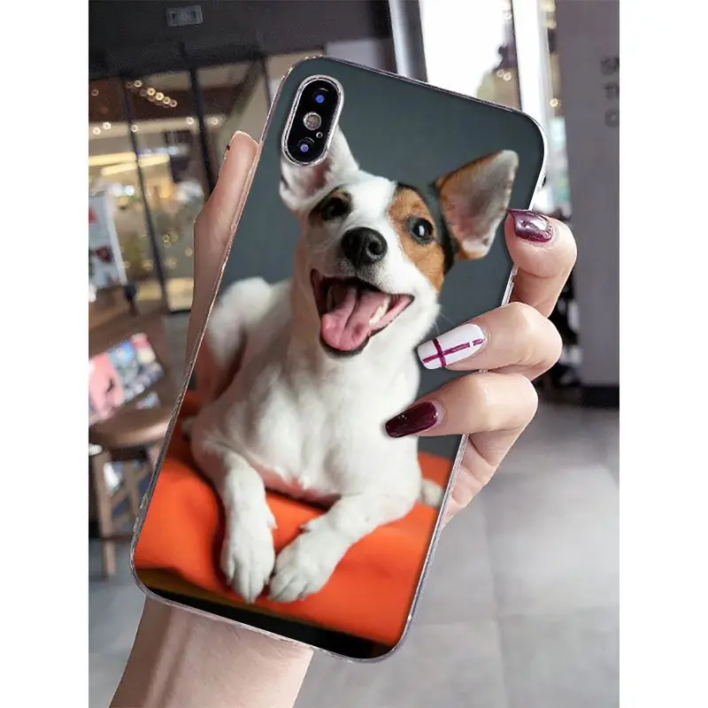 Умный прозрачный мягкий чехол для телефона Babaite Jack Russell Terrier Dog iPhone 8 7 6 6S Plus 5 5S SE XR X XS