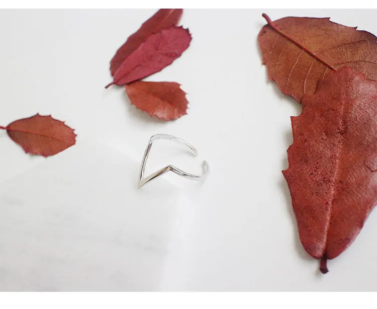 3636633249_514610680