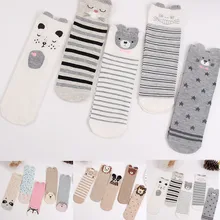 Модные женские хлопковые носки, пять пар, модные женские короткие носки с котенком, красочная трубка, повседневные носки с милым котом для девочек# h