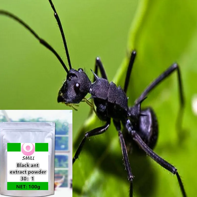 

100g-1000g High quality, no additions Black Ant Extract powder /hei ma yi/ Free shipping