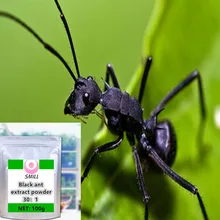 100g-1000g High quality, no additions Black Ant Extract powder /hei ma yi/ Free shipping