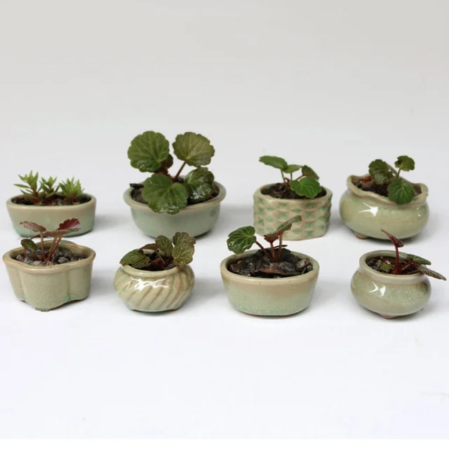8pcs Set Mini Ceramics Flower Pot Micro Garden Planter Planting 8pcs Set Mini Ceramics Flower Pot Micro Garden Planter Planting Green Desktop Ceramic Home