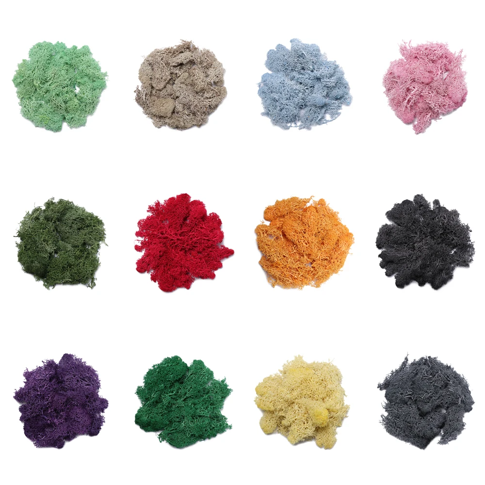 

1Pack 20g/50g Colorful Natural Norwegian Reindeer Moss Preserved Dried Craft Flower Stamen Decoration Wedding Ornament