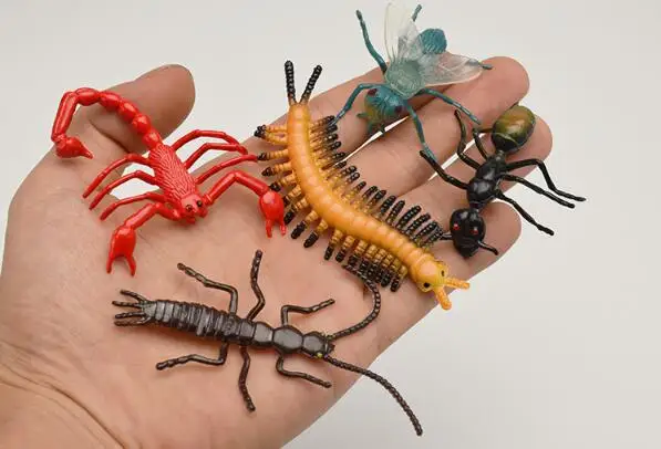 Червь паук. Червь паук. Многоножка птицеед. Битва насекомых и паукообразных. Букашки паук.