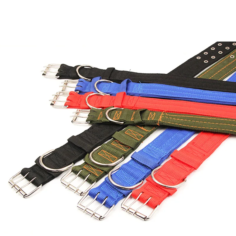 dog collar for large dogs
