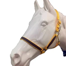 New Arrival Horse Riding Equipment Horse Halter Metal Eyelet Horse Riding Equestrian For A Horse Equestrianism Accessories